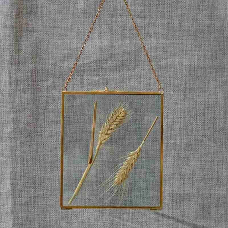Style Vintage industriel Double face verre suspendu cadre fleur cadre mur plante cadre spécimen affichage Photo R0X0