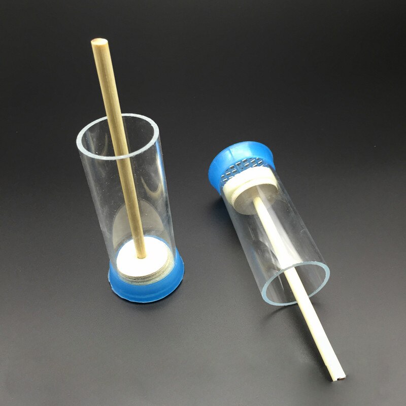Biene+ Zeichenlack für Königin - 10 ml im Flacon the honey factory Imkereibedarf