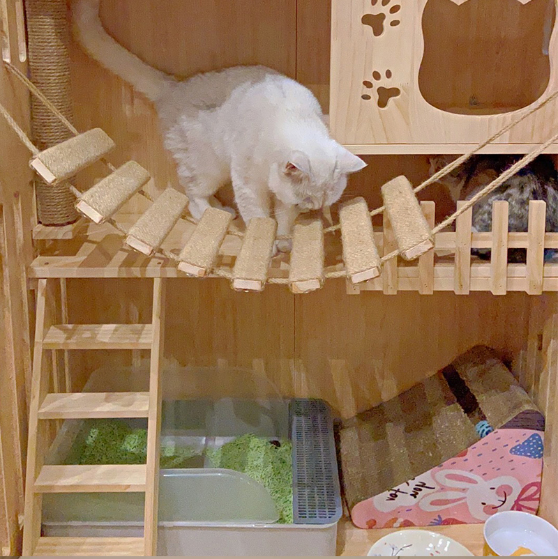 Juguetes de pared para actividades, rascador de Sisal de madera para gatos, muebles escaladores, puente para gatos, escalones de cuerda, escalera para gatitos, poste para pared