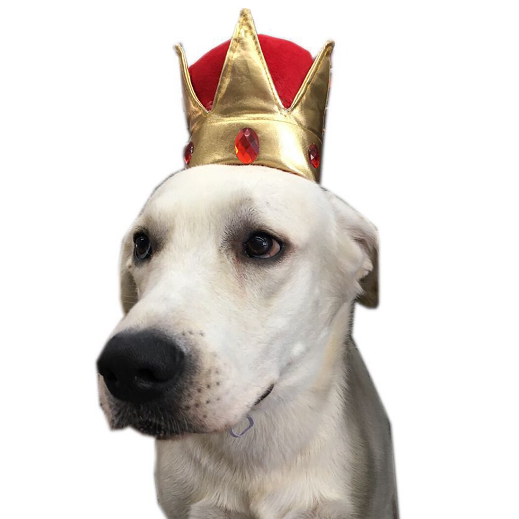 Cappello da compleanno per animali domestici corona carina cappellino da compleanno in cristallo cane copricapo divertente per cani gatti cappello da re per animali domestici festa per animali Cosplay Prop