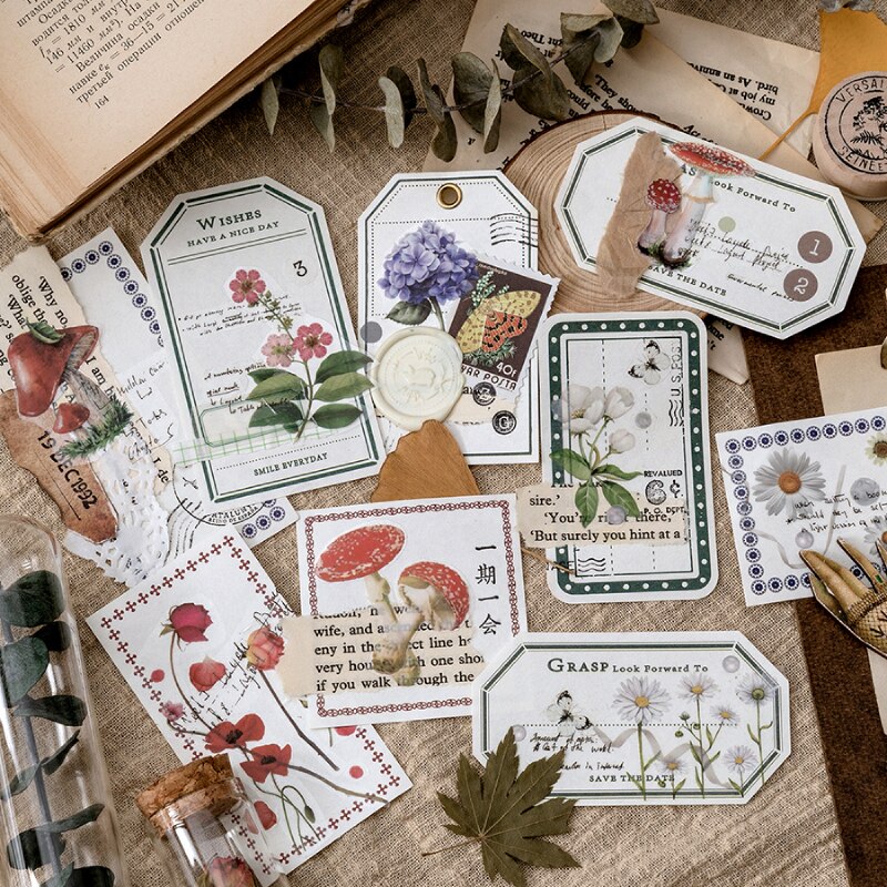 10cm*3m, botanical illustration diary paper tape PET transparent tape DIY scrapbook label label masking tape