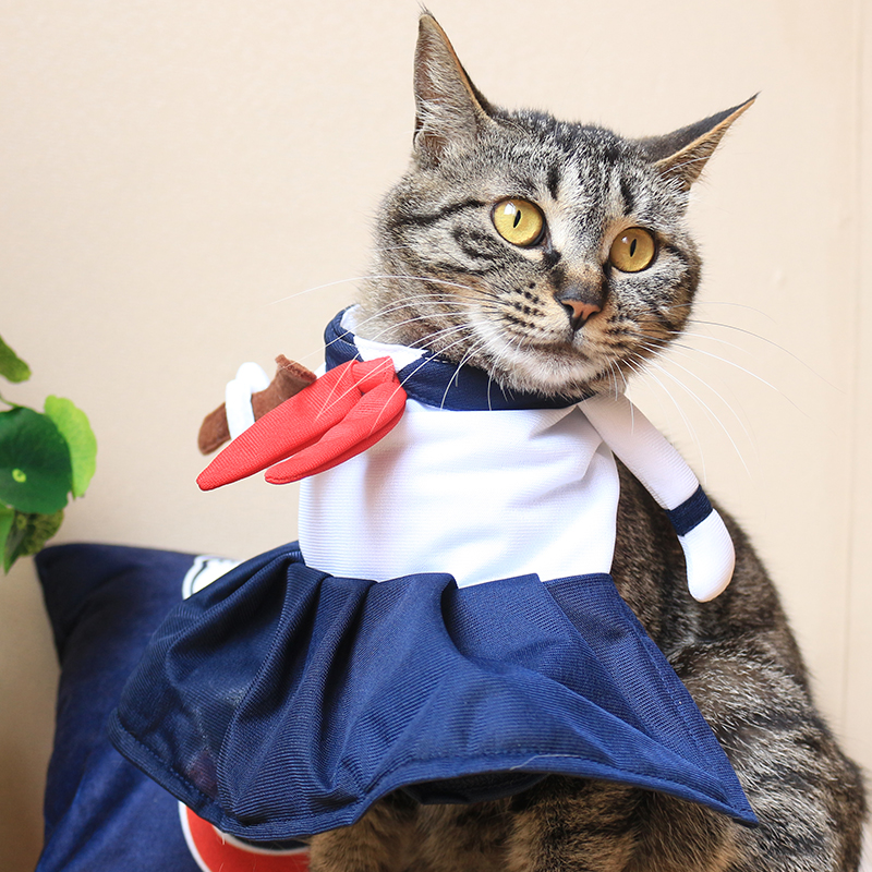 Ropa Para gato, uniforme de escuela secundaria japonés inspirado en gato, disfraz para gato