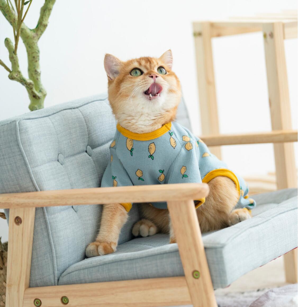 Ropa de invierno para gatos, abrigo para cachorros y gatitos, chaqueta para perros pequeños y medianos, C