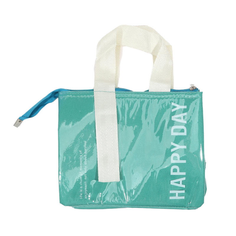 Cute Insulated Lunch Bag Camping Food Drink Cooler Bag Picnic Travel Bag Waterproof Food Storage Box For Student Office Worker: Option 1 / SKY BLUE