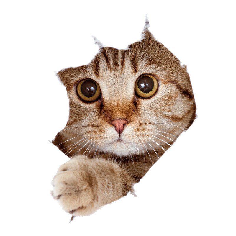 1 stuk achtergrondstickers schattige 3d kattenbehang decoratie badkamer toilet woonkamer huisdecoratie sticker: T2