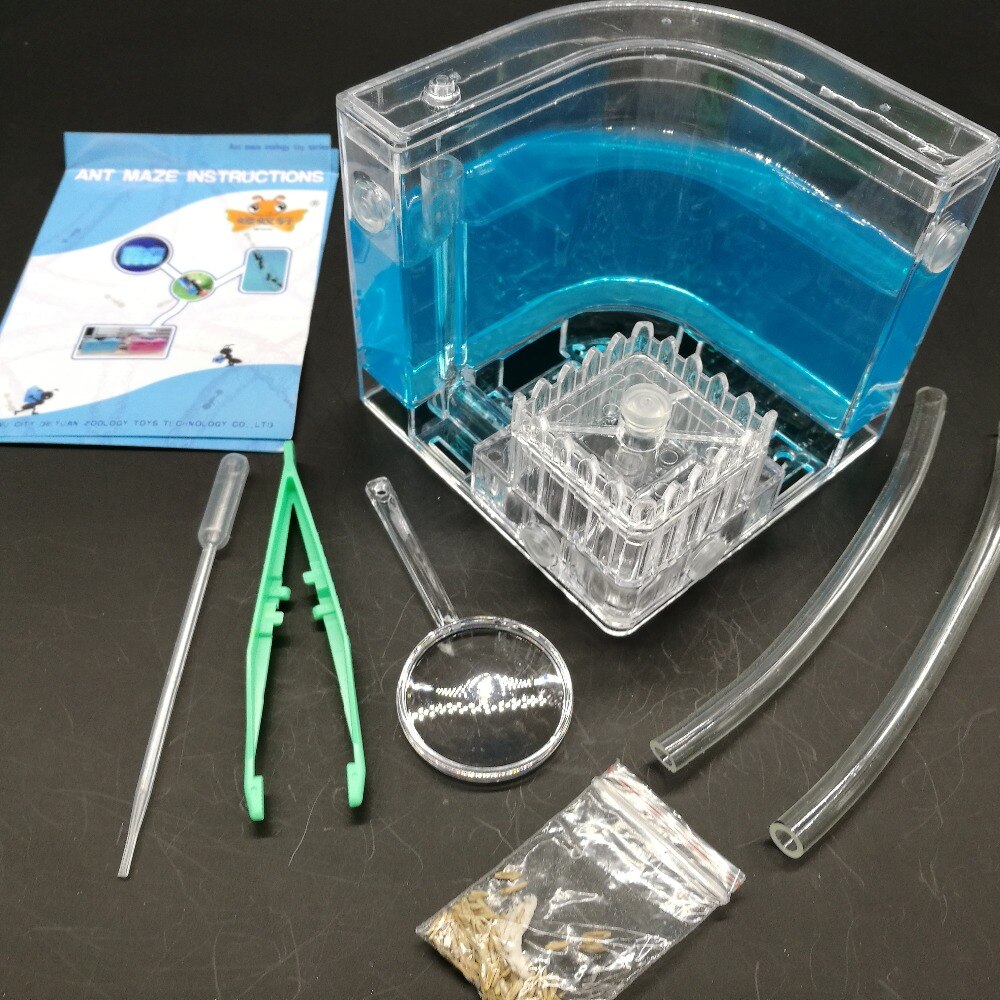 Authentic Ant farm Birthday pet villa Home queen ants workshop from mail Ant farm