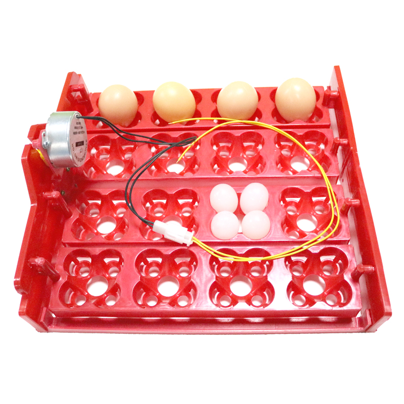Incubadora automática de huevos de gallina, 16 huevos/64 pájaros, palomas y otras aves, equipo de incubación con Motor