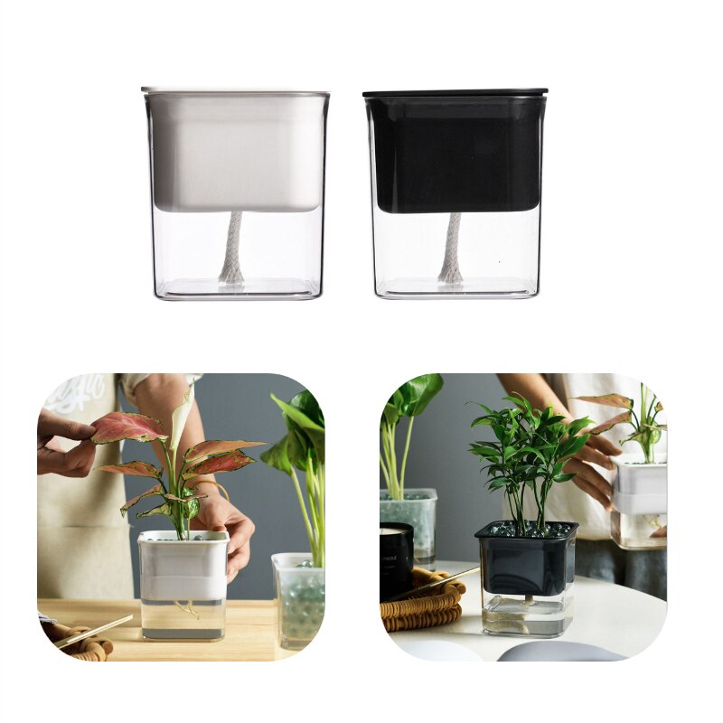 Lui Self-Watering Bloempot Automatische Wateropname Succulent Aquacultuur Transparante Ronde Plastic Hydrocultuur Bloempot