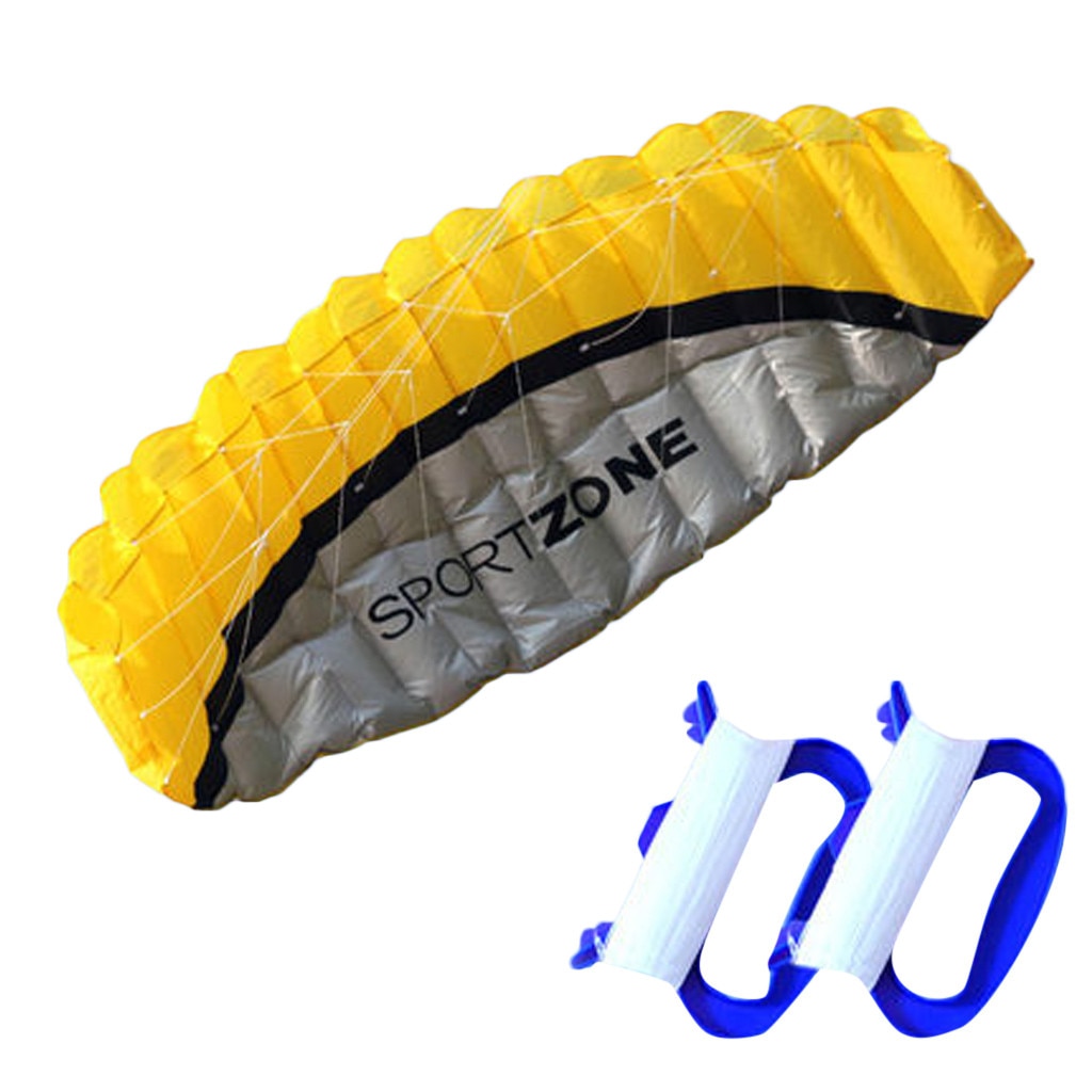 Kite 2,5 m línea Dual paracaídas acrobático deporte playa exterior Kitesurf volando juguetes azul grande niños cometas de juguete cometas para adultos