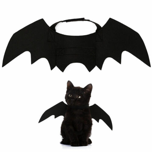 Halloween huisdier hond kostuums vleermuisvleugels vampier zwart schattig verkleedkostuum halloween huisdier hond kat kostuum