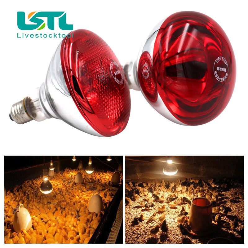 220 V Viehtiere Haustier-Heizlampe, thermische Erhaltung, Wärme-Infrarotstrahl für Reptilien, Amphibien, Haustier, 100/150/200/275 W