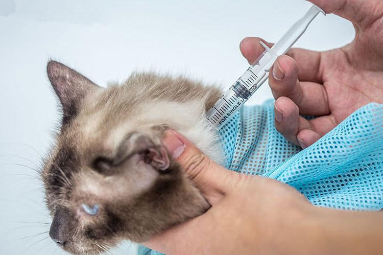Multifunctionele verzorgingstas voor katten, nageltas voor katten, badtassen voor katten, accessoires voor katten, producten voor huisdieren, schoonmaakproducten voor katten