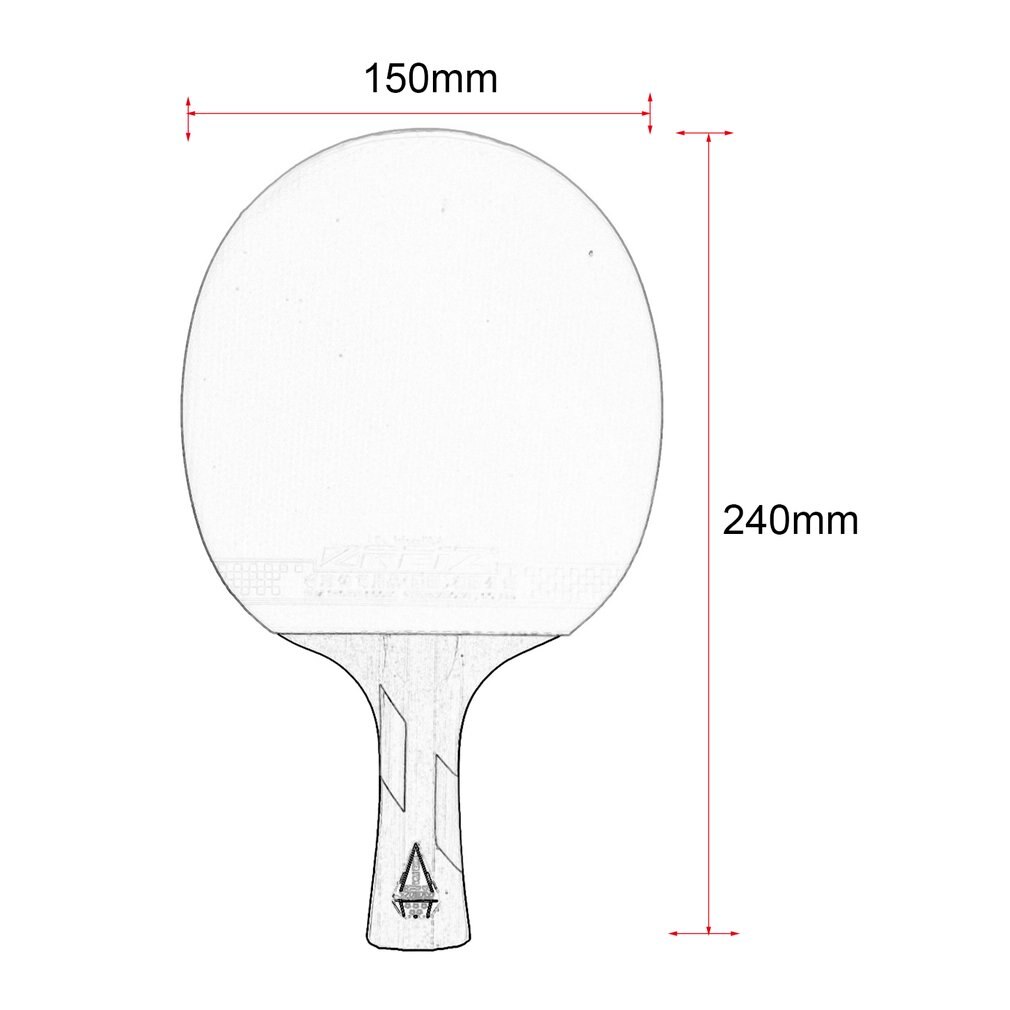Raqueta de tenis de mesa REIZ 5 estrellas con mango corto o largo, raqueta de entrenamiento de Ping Pong de mano caso: Default Title