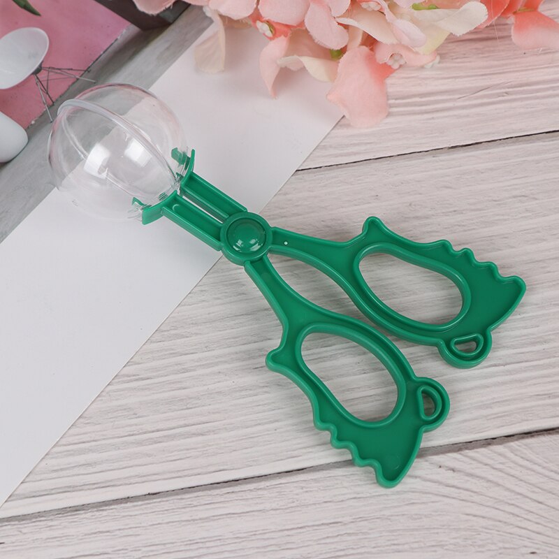 1 Pieza de plástico Bug Insect Catcher tijeras pinzas para niños herramienta práctica de oficina escolar: Verde