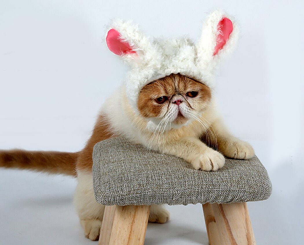 Peluca decorativa con Orejas de conejo peludas para mascotas, disfraz de gatito, adorno de conejo, novedad de: Default Title
