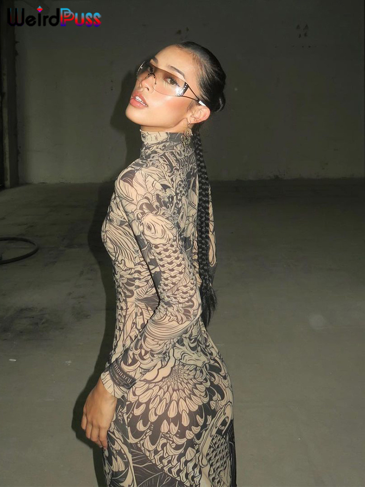 Raar Poes Mesh Print Vrouwen Maxi Jurk Coltrui Volledige Mouw Bodycon Herfst Trendy Hipsters High Street Party Y2K Kledij
