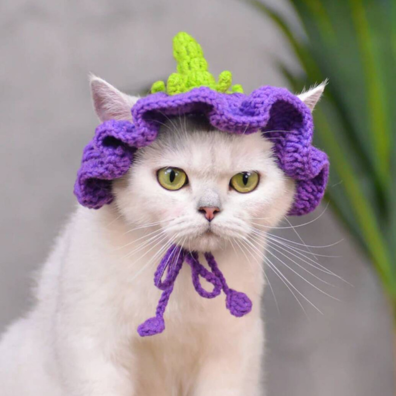 Sombrero de flores, sombrero de ganchillo para gato, perro pequeño, sombrero de berenjena de ganchillo, patrón para gatos y perros, ropa para gatos, accesorios para gatos, traje para mascotas: S / Gris