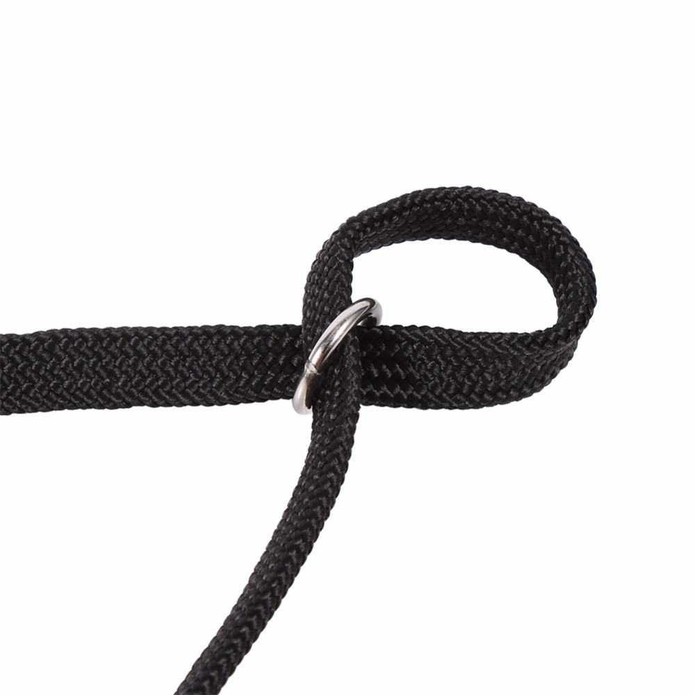 Boucle de verrouillage pour chien, chat, Animal domestique, corde à Clip pour Table de toilettage, bras bain, corde de retenue réglable, harnais, accessoires pour animaux de compagnie