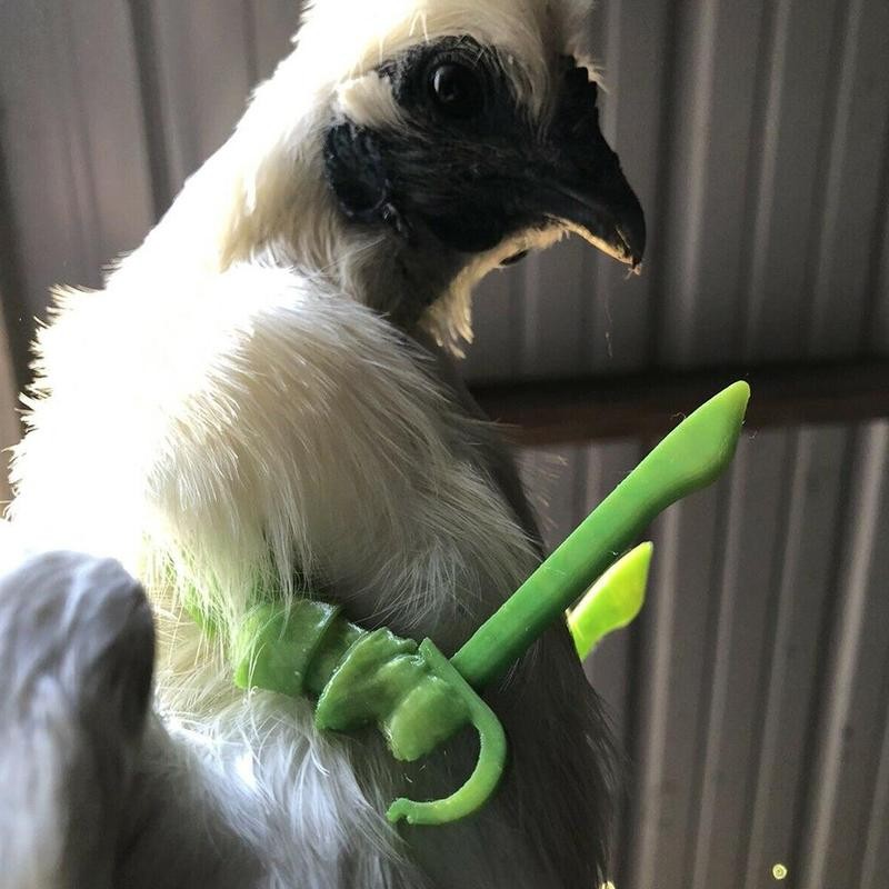 Bras de poulet jouet Gag, accessoires de bras de poulet, décoration de prémembre de poulet, Spoof pour Animal de compagnie, fête à thème, fournitures d&#39;animaux à la ferme, 5 Styles