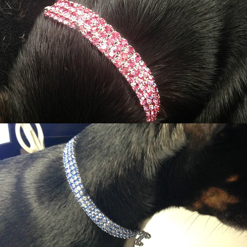 Bling Strass Halsband Legering Diamant Puppy Pet Kat Kraag Maat S/M/L Halsbanden Lijnen Kleine honden Mascotas Accessoires