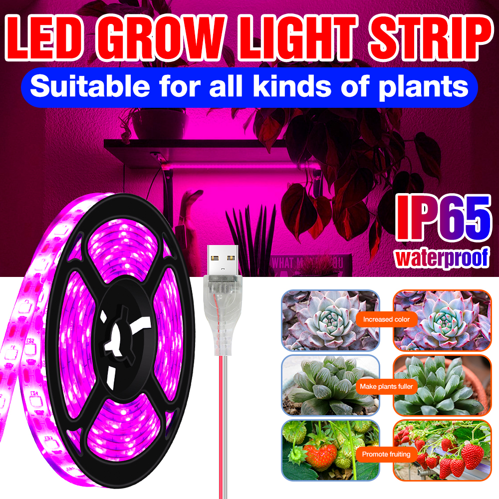Lampe horticole de croissance Led USB, spectre complet, éclairage pour serre/chambre de culture hydroponique