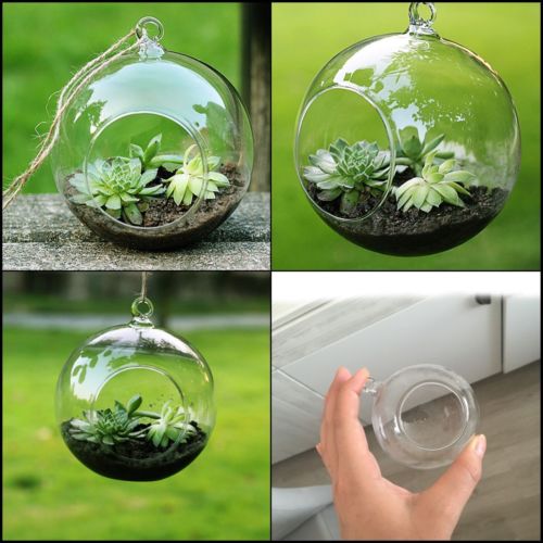 Flower Pots 3 Size Clear Ball 8/10/15cm Hanging Glass Flower Planter Vase Bottle Candlestick Terrarium Container Planters Basket