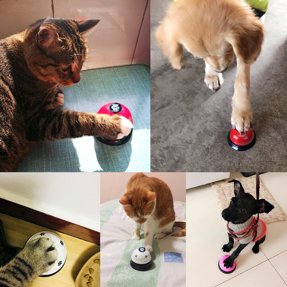 Iq-træning kat ring klokke hund fodring ringer kæledyr undervisningslegetøj interaktiv killing spiser mad kaldet middag påmindelse feeder