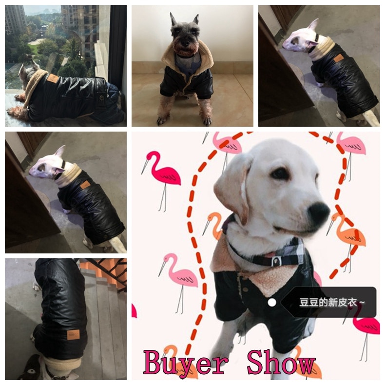Blød vinter pitbull jakke sort rød yorkshire terrier tøj xs  s 6 l 7l hund terrier hvalp kat outfit beklædning varmt tilbehør