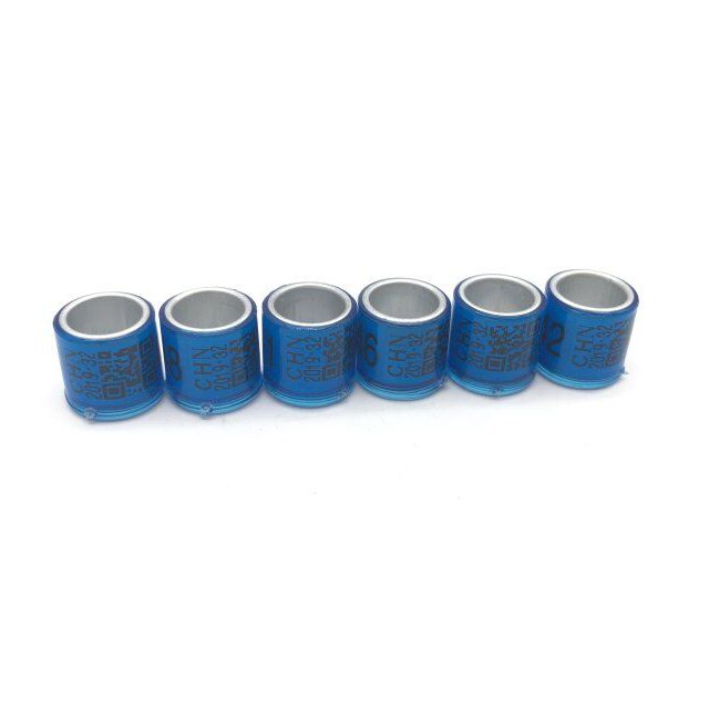 pigeon training supplies aluminium rings for pigeons leg rings identify dove bands 8mm CHN: Blue