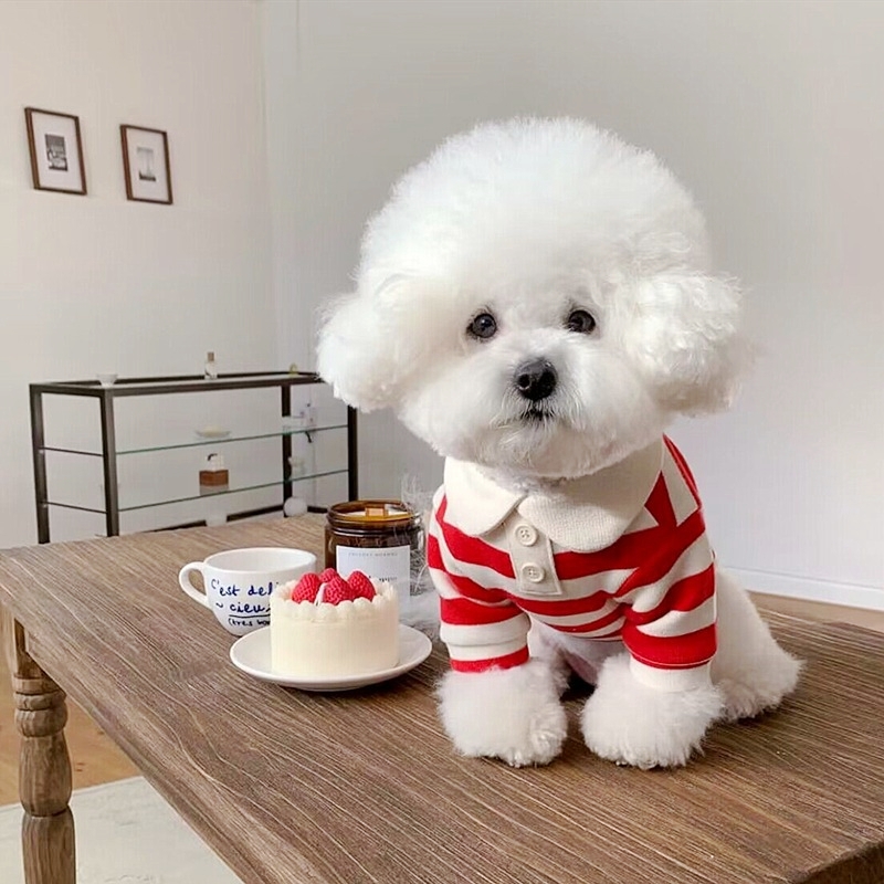 Zomerpoloshirt voor honden Puppykleding Bichon Frise Chihuahua Streep Hondensweatshirt Hond Koelvest voor kleine en middelgrote honden
