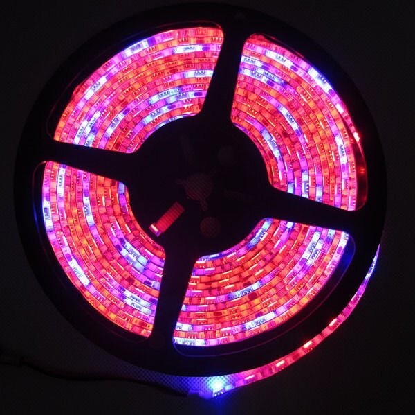 5m/ x led-kweeklampen,  dc12v x led-strips, 5050 x plantengroeilampen voor hydrocultuur in een kas