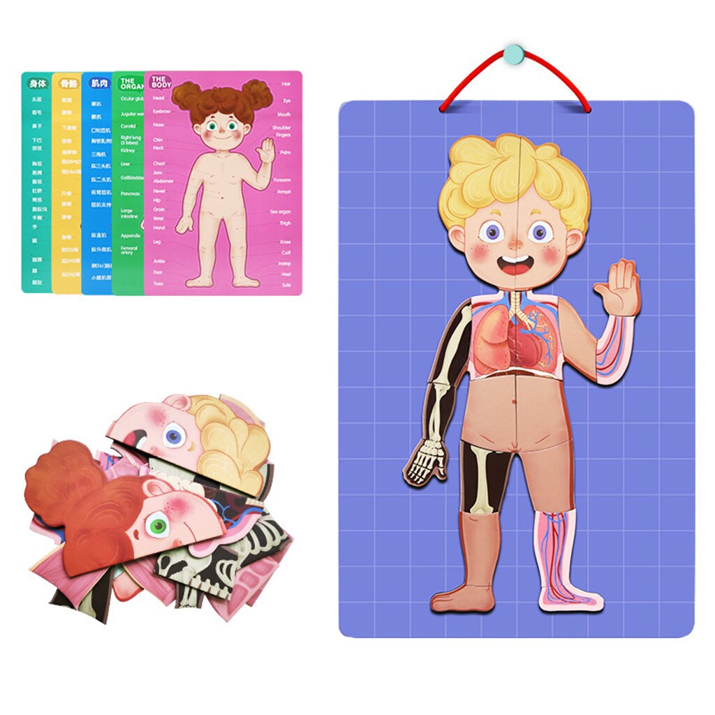 Wooden My Body Puzzle for Toddlers &amp; Kids - 89 Piece Kids Anatomy Play Set, Magnetic Pieces