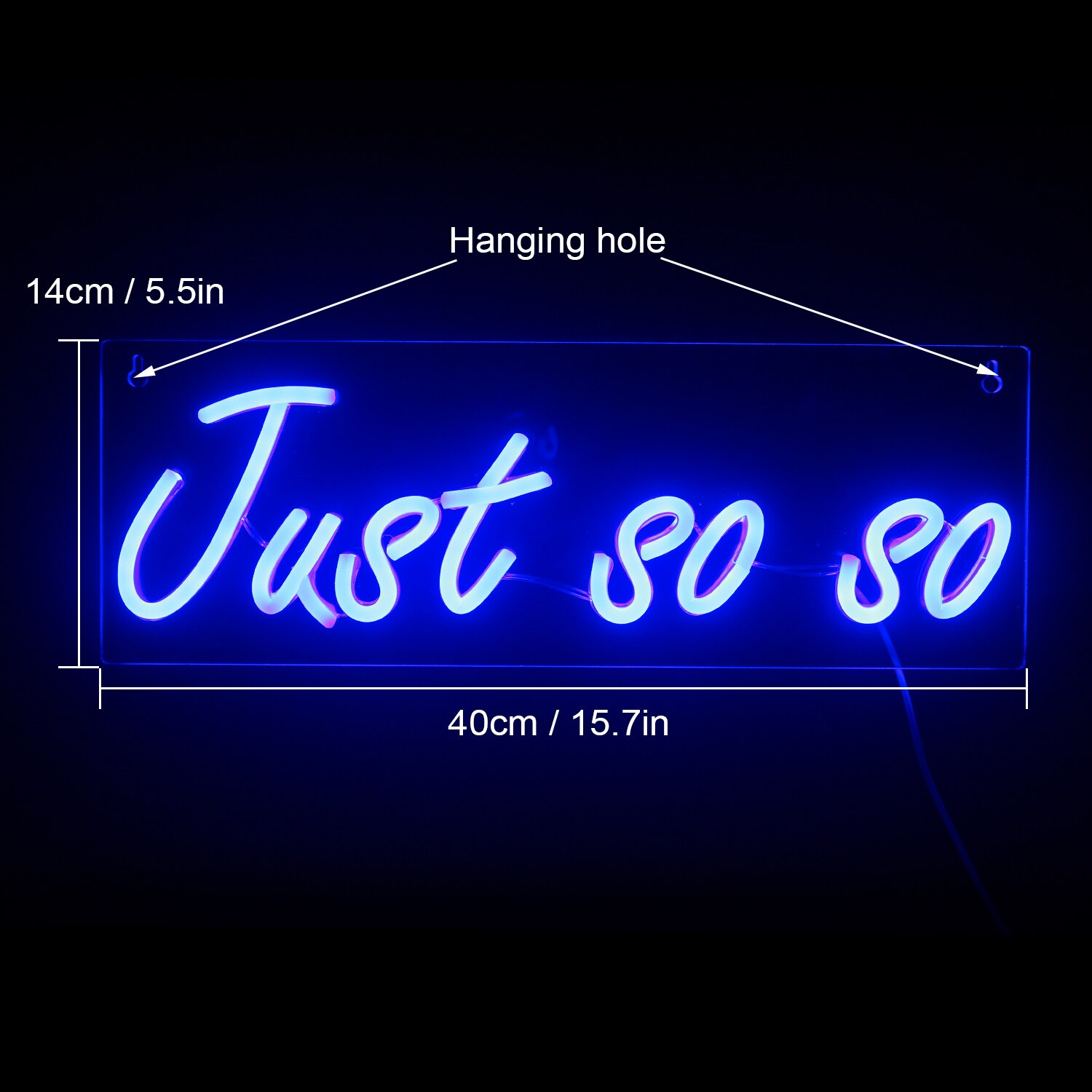 ineonlife LED Neon Sign Funny Personality Text Street Wall Art USB Switch Shop Party Club Bar Room Advertising Decoration