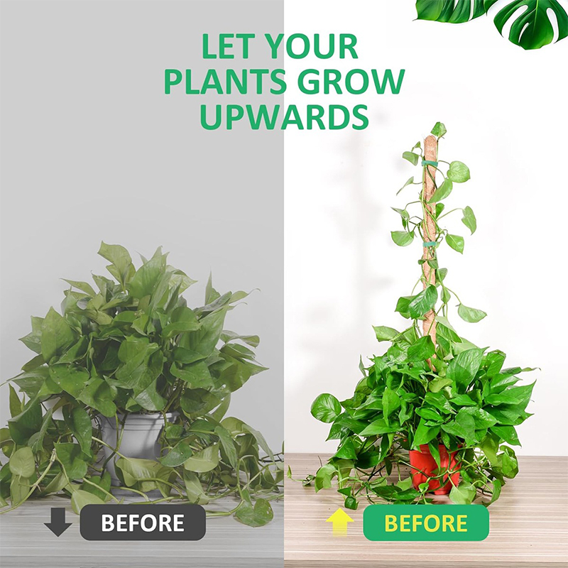 Deformable Plant Scaffold Useful Things for Garden Accsesories Plants Accessories Outdoor for Stand Indoor Support Tutors Home