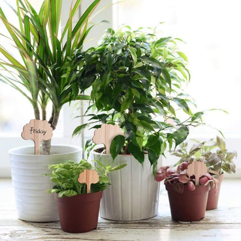 60 stuks houten plantenlabels, boomvormige plantenlabels, tuinlabels voor zaden, potkruiden, bloemen en groenten