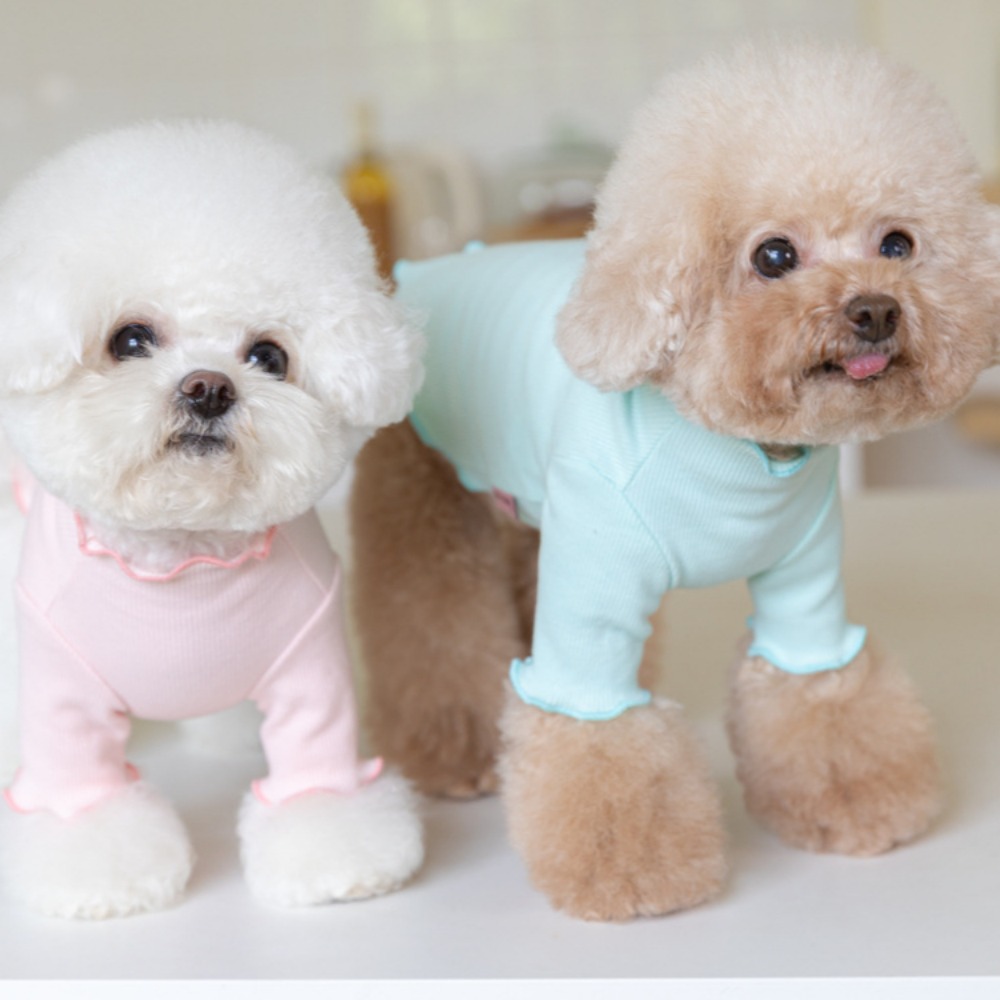 Jesienno-zimowe bluzy z kapturem dla zwierząt z haftowaną koronkową podstawą Pet Candy Colored Haftowane ubrania dla psów Teddy dla małych psów