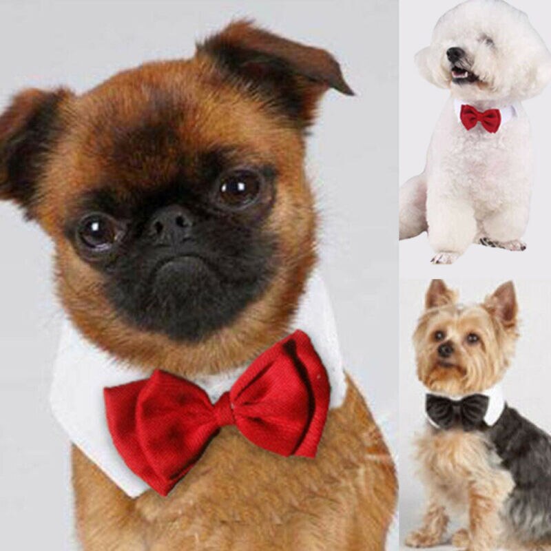 Corbata para mascotas ajustable con lazo para cachorro, gatito, perros, lazo para gato, ropa para mascotas, perro, gato, de Navidad