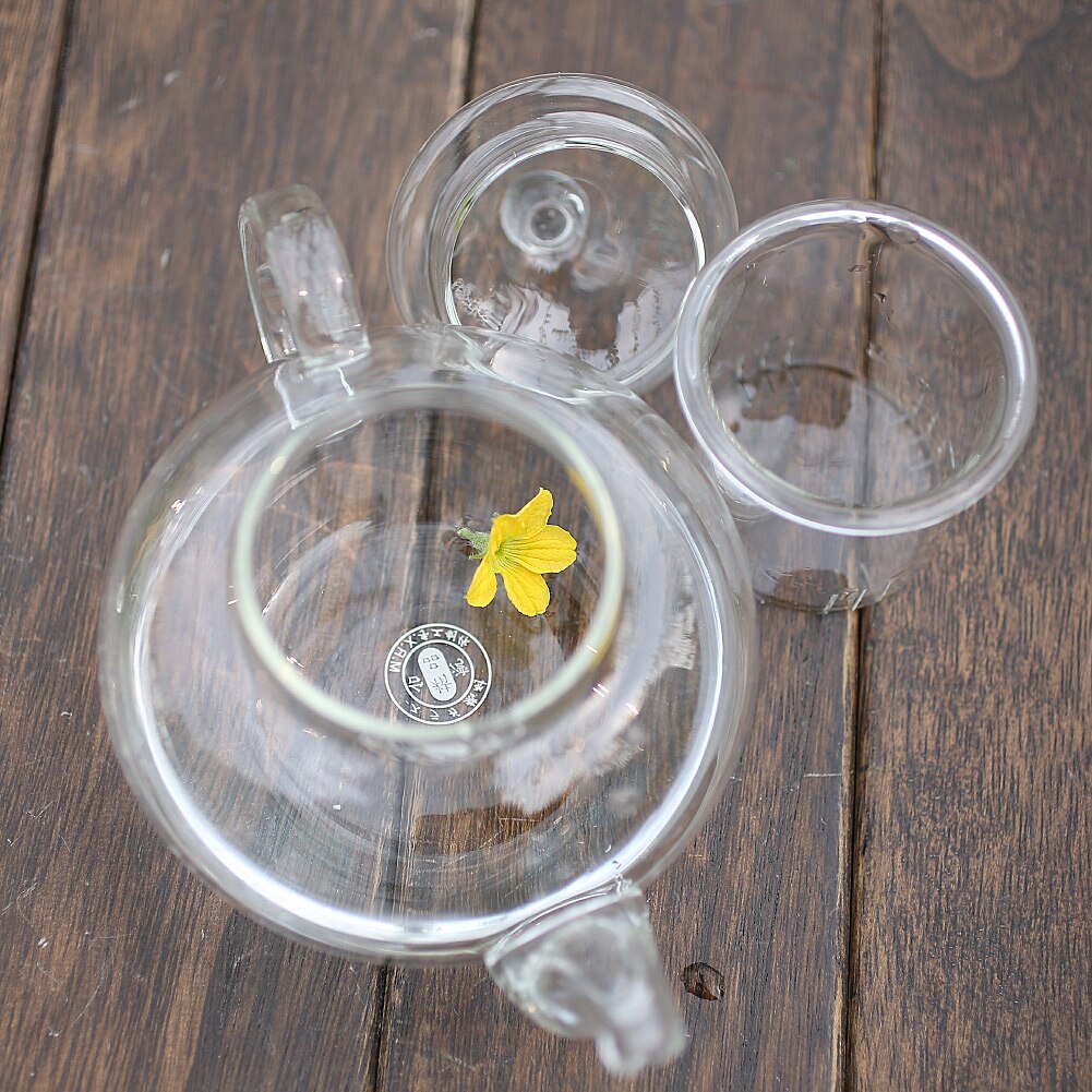 Resistent glas tekanna flaska kopp teblad 350ml infuser med butik kök suplly hem klitchen verktyg flaska