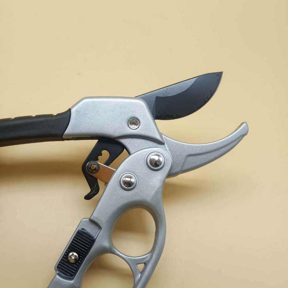 Ciseaux d'élagage de jardin ciseaux en acier à haute teneur en carbone outils de jardinage portables outils d'élagage pour élaguer les Branches d'arbres fruitiers