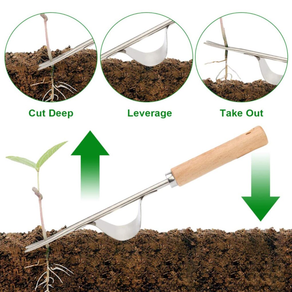 Weeder-escardador de jardín Manual de madera de acero inoxidable, herramienta con asa de madera