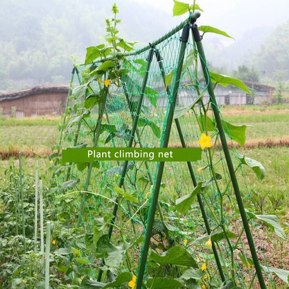 0.9m*1.8m/1.8m*3.6m Garden Plants Climbing Net Morning Glory Flower Vine Netting Support Net Grow Holder Garden Accessories