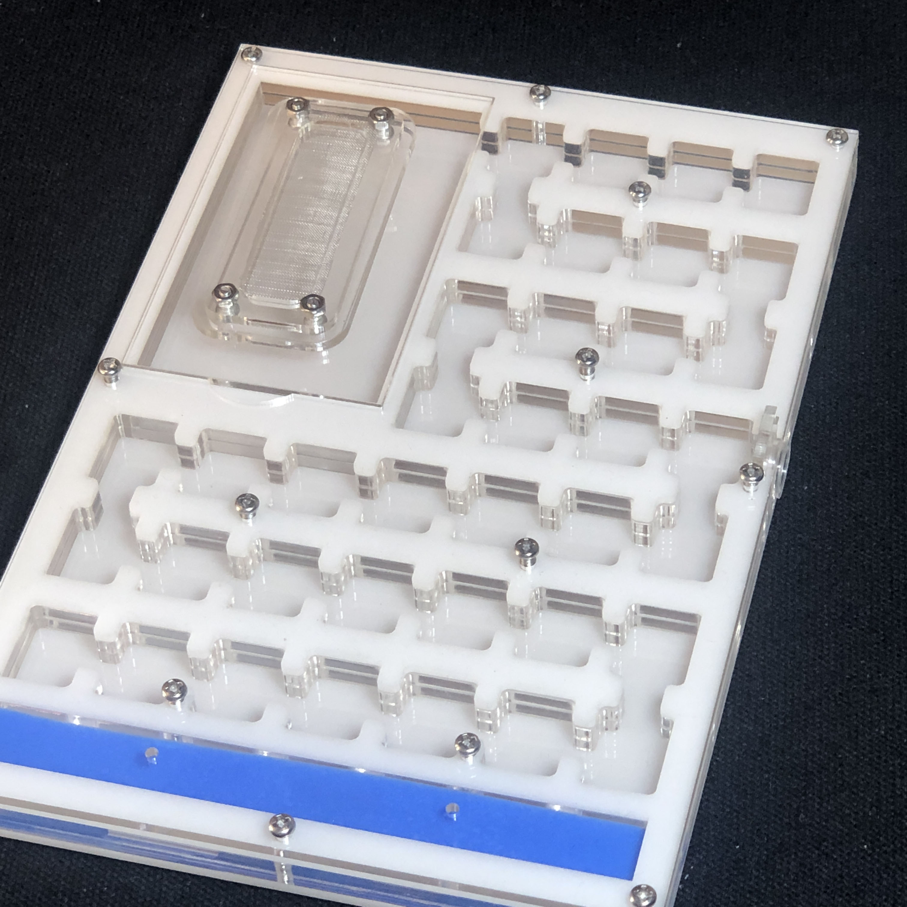 BIG Space Acrylic ant farm maze,Ant Nest with Feeding Area and moisturing zone Ant House for Pet Anthill: WHITE