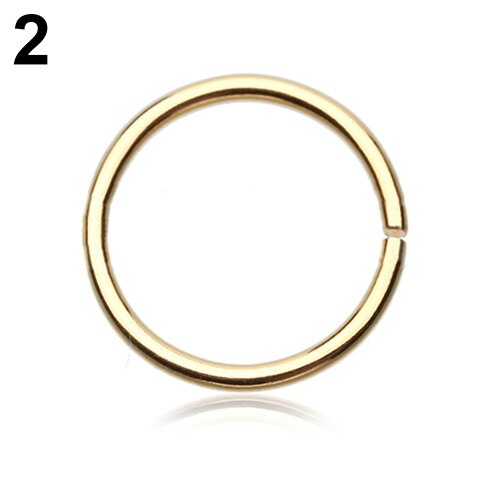 1Pc Rvs Naadloze Segment Ringen Neus Hoops Oor Piercing Tragus Neusringen Oor Cartiliage Tragus Sexy Lichaam Sieraden: Goud-kleur / 10mm