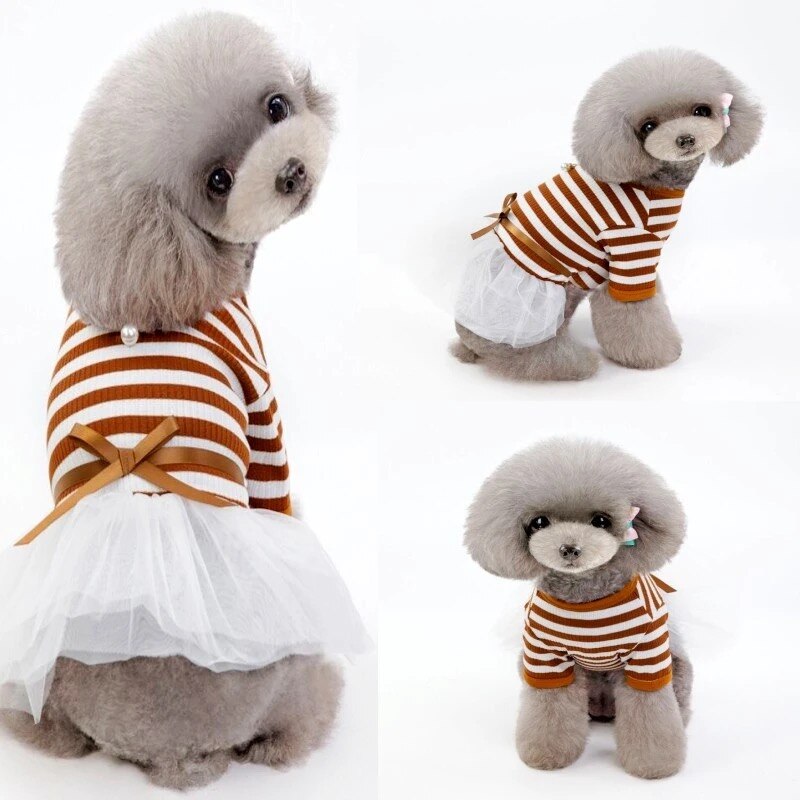 Sommer Bogen Stripd Welpen Rock Pet Prinzessin Hochzeit Kleider Mädchen Kleidung Für Kleine Hunde Anzug Für Chihuahua Yorkies Phantasie Kleid