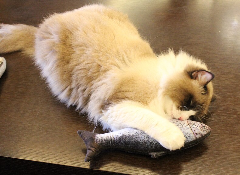 Simulation Plush Catnip Fish Toy for Cat Playing Training Tool Cats Pets Mint Fish Chew Toys Cat Rest Bite Pillow Scratch Board