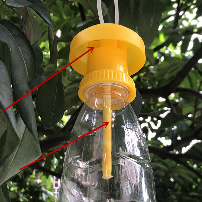 1/3 pezzi trappola per mosche della frutta assassino trappola ricevitore controllo degli insetti fattoria frutteto frutta trappola per mosche può essere abbinata con la bottiglia d'acqua