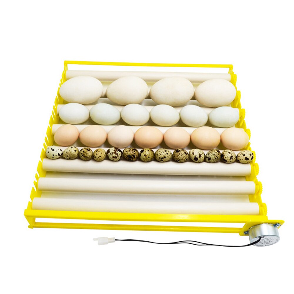 Husholdningsbakke æg rulledrejemaskine fuldautomatisk inkubator multifunktion 42- ægsmægler 360 graders roterende inkubationsværktøj