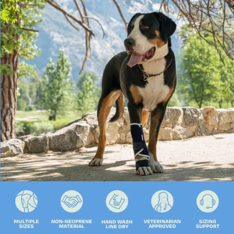 Dog Front Leg Brace Splint Carpal Hyperextension Dog Brace Support For Disabled Injured Small Dog Cat Fractures Sprains Supplies