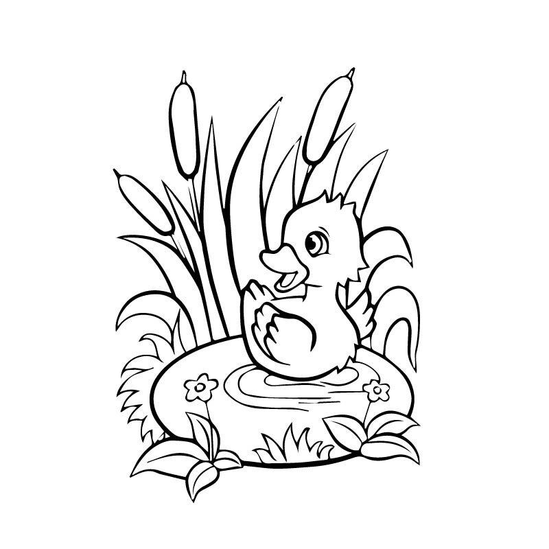 YOJA 26x20CM Bathroom Glass Shower Decal Home Decoration Duck Wall Sticker G2-0264