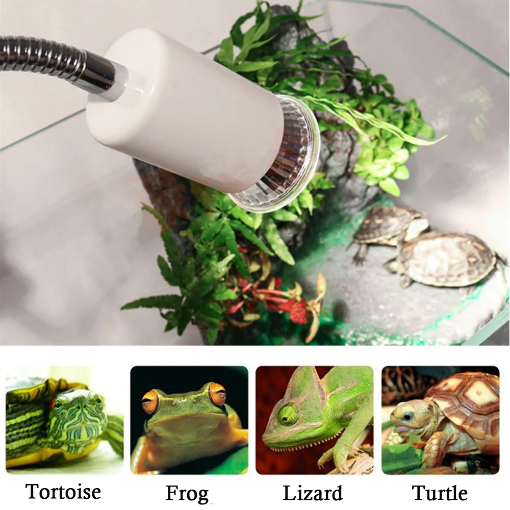 UVA + UVB 3,0 juego de lámparas para reptiles portalámparas con Clip bombilla termómetro higrómetro tortuga lagarto luz solar luz de calor para tomar el sol